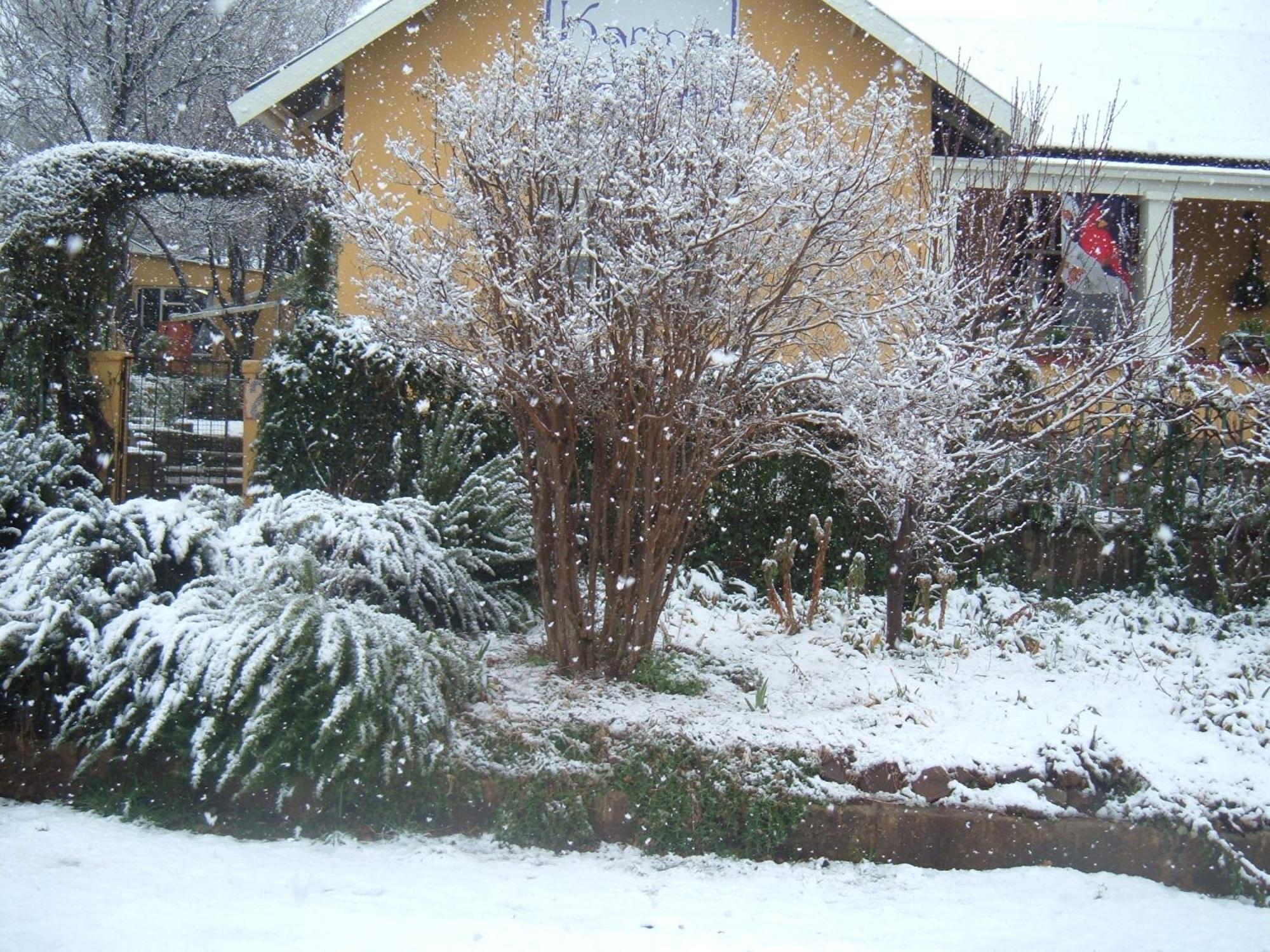 Karma Backpackers Hostel Kestell Εξωτερικό φωτογραφία